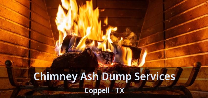 Chimney Ash Dump Services Coppell - TX