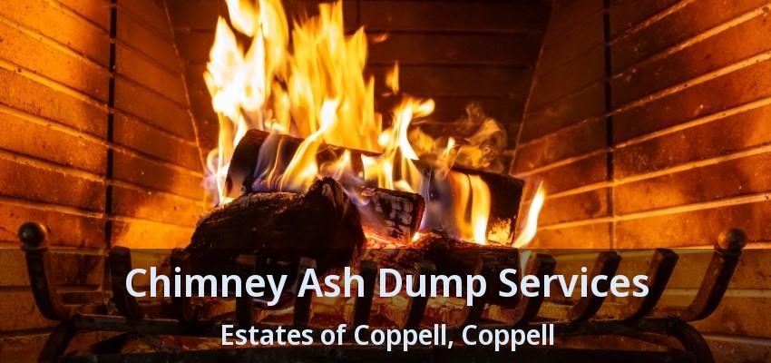 Chimney Ash Dump Services Estates of Coppell, Coppell - TX