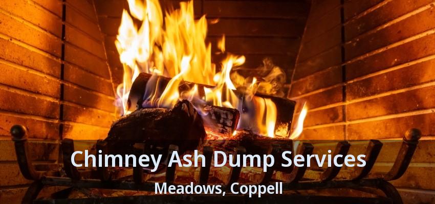 Chimney Ash Dump Services Meadows, Coppell - TX