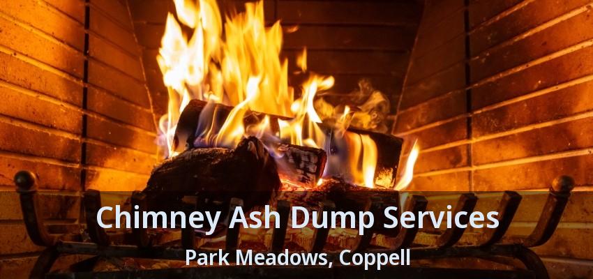 Chimney Ash Dump Services Park Meadows, Coppell - TX