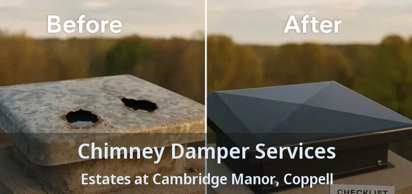 Chimney Damper Services Estates at Cambridge Manor, Coppell - TX