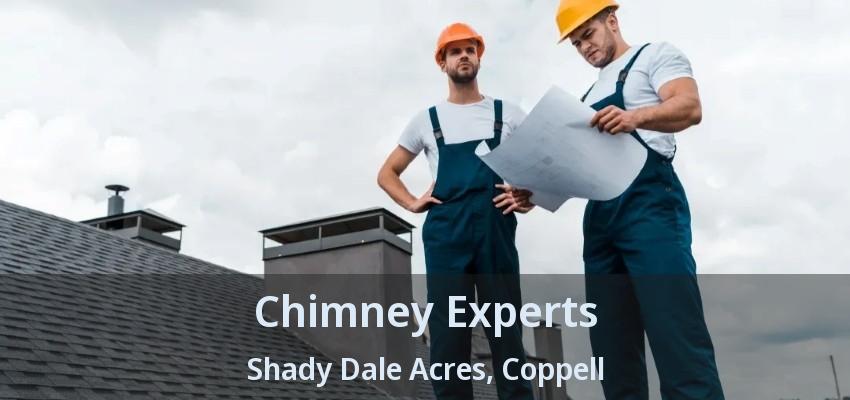 Chimney Experts Shady Dale Acres, Coppell - TX
