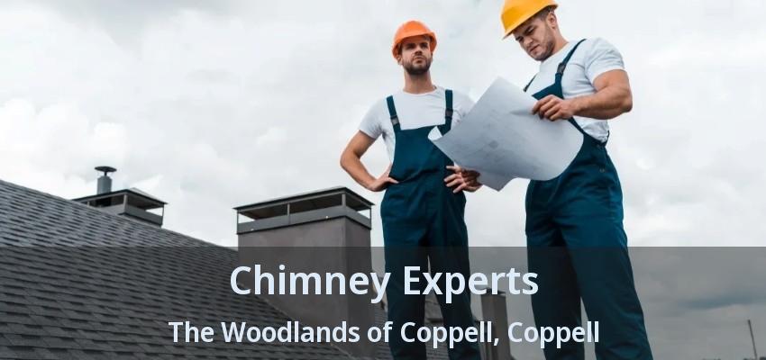 Chimney Experts The Woodlands of Coppell, Coppell - TX