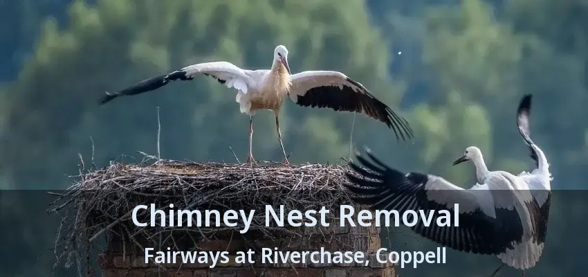 Chimney Nest Removal Fairways at Riverchase, Coppell - TX