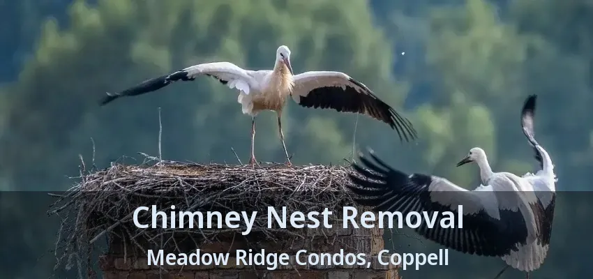 Chimney Nest Removal Meadow Ridge Condos, Coppell - TX