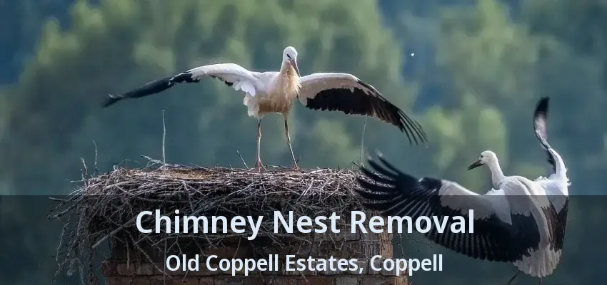 Chimney Nest Removal Old Coppell Estates, Coppell - TX