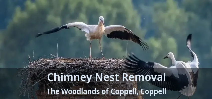 Chimney Nest Removal The Woodlands of Coppell, Coppell - TX