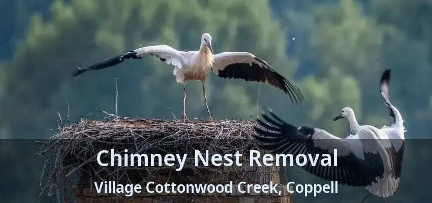 Chimney Nest Removal Village Cottonwood Creek, Coppell - TX