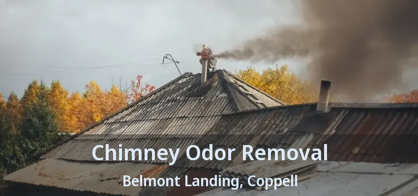 Chimney Odor Removal Belmont Landing, Coppell - TX