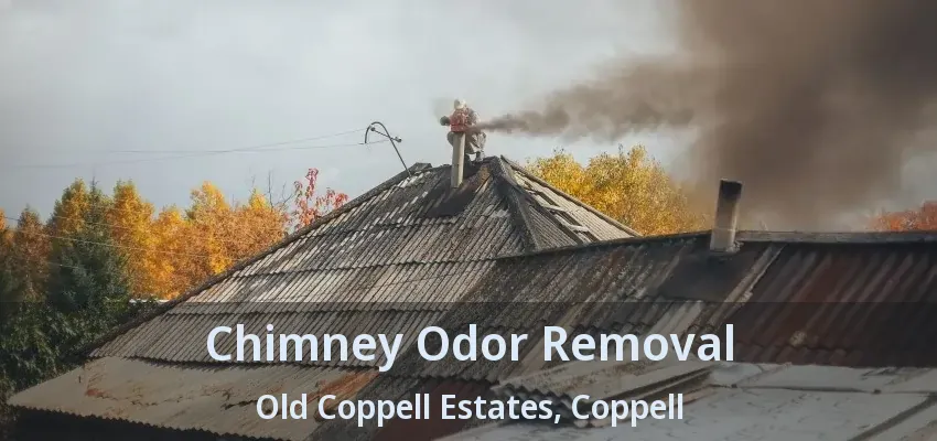 Chimney Odor Removal Old Coppell Estates, Coppell - TX