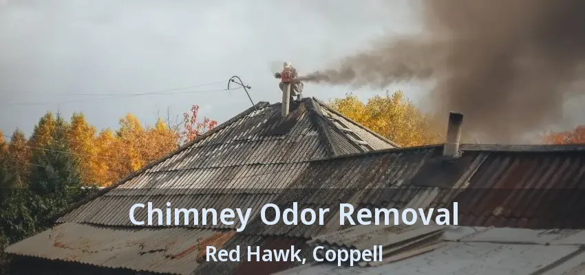 Chimney Odor Removal Red Hawk, Coppell - TX