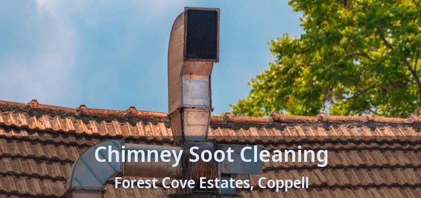 Chimney Soot Cleaning Forest Cove Estates, Coppell - TX