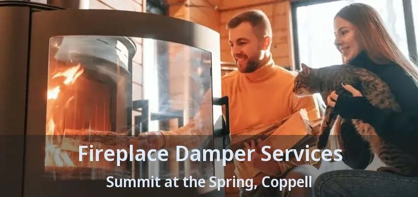 Fireplace Damper Services Summit at the Spring, Coppell - TX