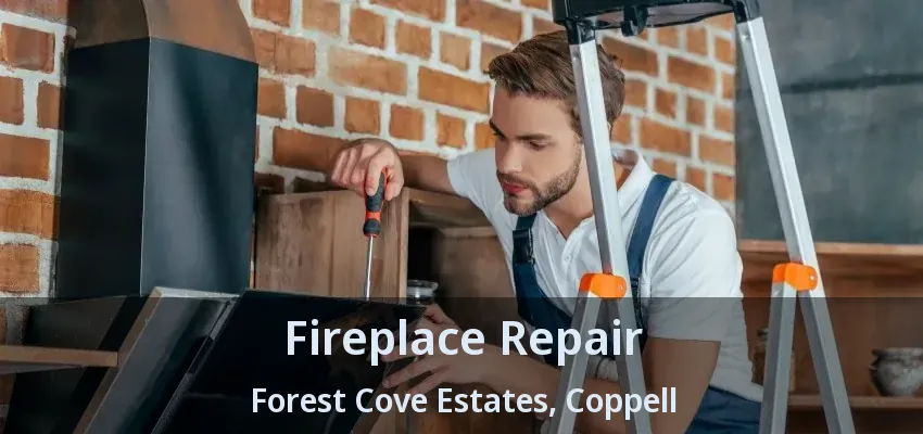 Fireplace Repair Forest Cove Estates, Coppell - TX