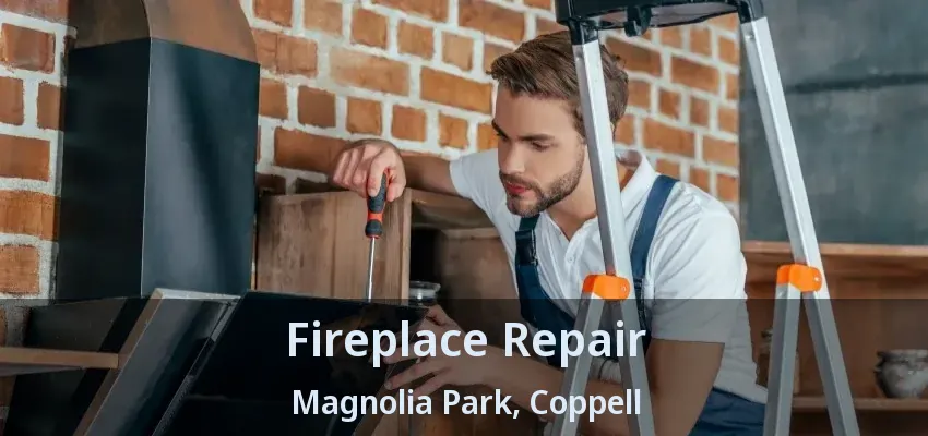 Fireplace Repair Magnolia Park, Coppell - TX