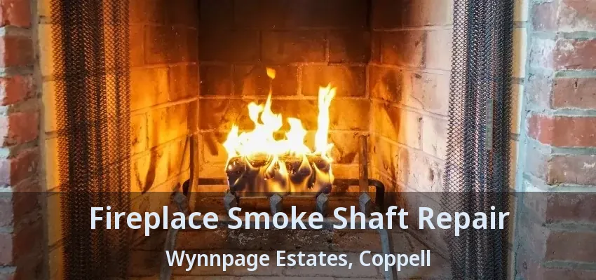 Fireplace Smoke Shaft Repair Wynnpage Estates, Coppell - TX