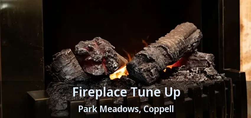 Fireplace Tune Up Park Meadows, Coppell - TX