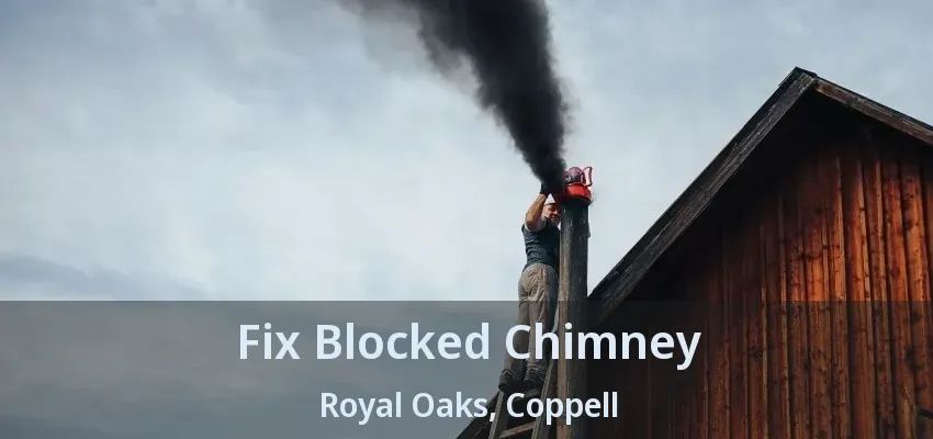 Fix Blocked Chimney Royal Oaks, Coppell - TX