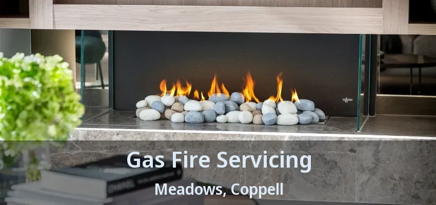Gas Fire Servicing Meadows, Coppell - TX