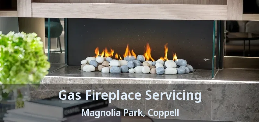 Gas Fireplace Servicing Magnolia Park, Coppell - TX