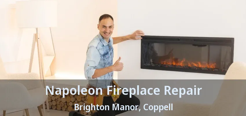 Napoleon Fireplace Repair Brighton Manor, Coppell - TX