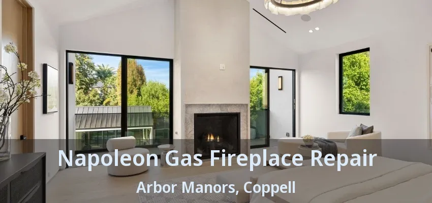Napoleon Gas Fireplace Repair Arbor Manors, Coppell - TX