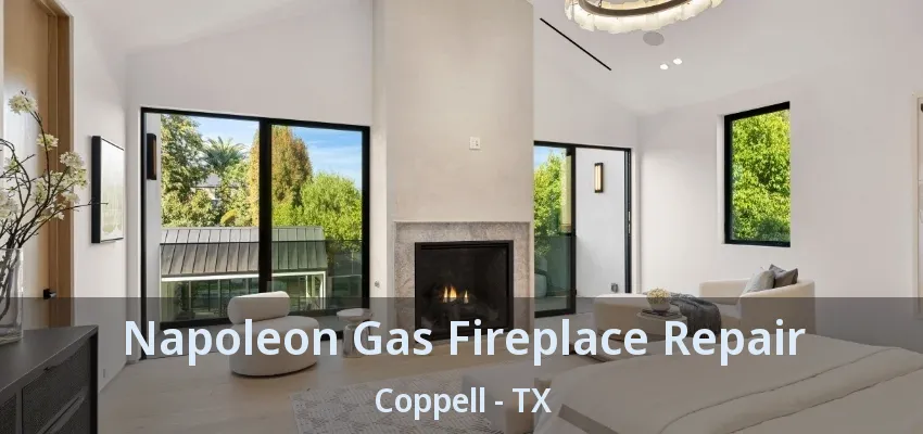 Napoleon Gas Fireplace Repair Coppell - TX
