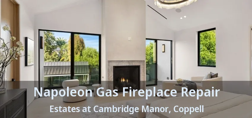 Napoleon Gas Fireplace Repair Estates at Cambridge Manor, Coppell - TX