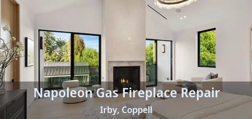 Napoleon Gas Fireplace Repair Irby, Coppell - TX