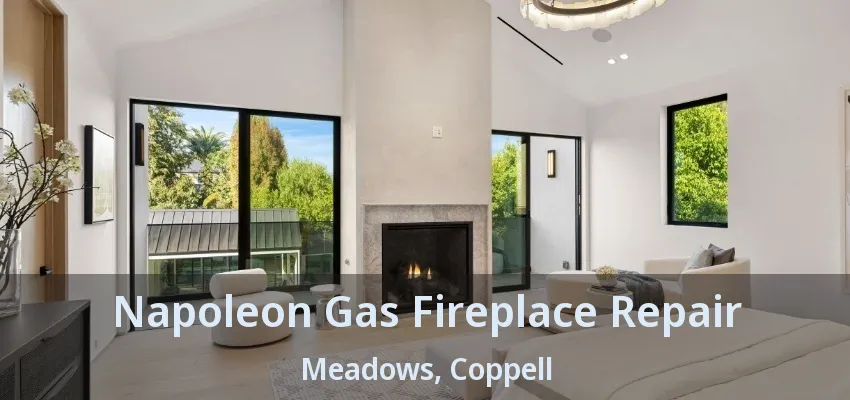 Napoleon Gas Fireplace Repair Meadows, Coppell - TX