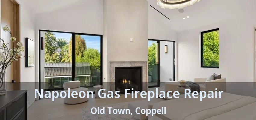 Napoleon Gas Fireplace Repair Old Town, Coppell - TX