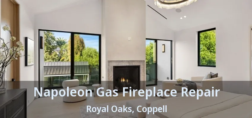 Napoleon Gas Fireplace Repair Royal Oaks, Coppell - TX