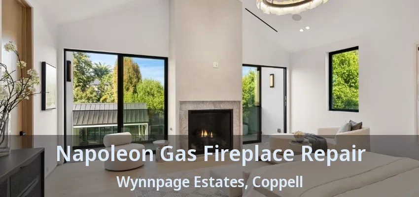 Napoleon Gas Fireplace Repair Wynnpage Estates, Coppell - TX