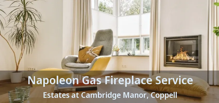 Napoleon Gas Fireplace Service Estates at Cambridge Manor, Coppell - TX