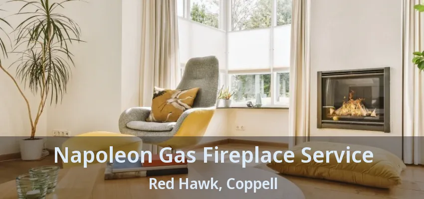 Napoleon Gas Fireplace Service Red Hawk, Coppell - TX