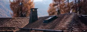 Chimney Animal Removal Coppell