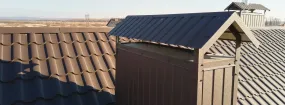 Chimney Cap Services Coppell