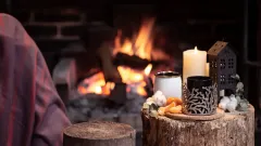 Fireplace Inspection Coppell