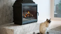 Wood Burning Fireplace Repair Coppell